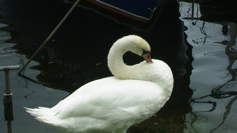 PIC_1056.JPG
